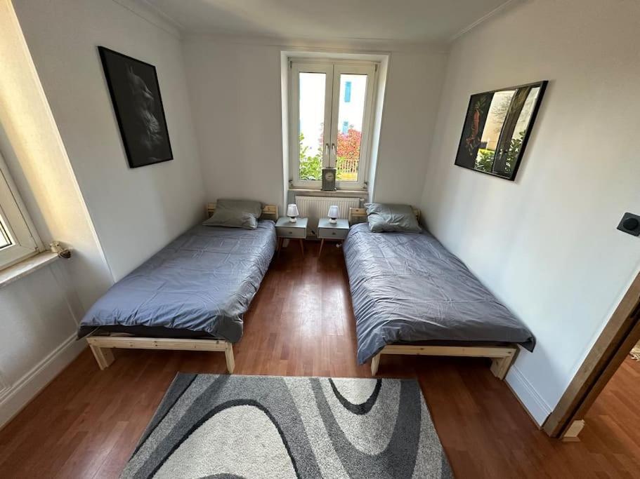 Magnifique Appartement F3. 4 A 6 Personnes Lutterbach Ngoại thất bức ảnh